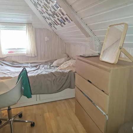 Sentrumsnaer Stor Apartment