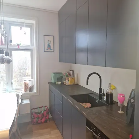 Sentrumsnaer Stor Διαμέρισμα *