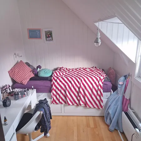 Appartement Sentrumsnaer Stor